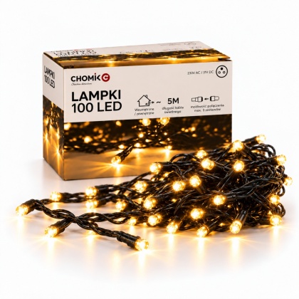 Lampki Choinkowe 100 LED Ciepła Biel 5 m Winter Dreams
