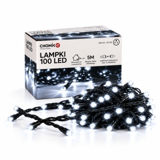 Lampki Choinkowe 100 LED, Zimna Biel, 5 m Winter Dreams