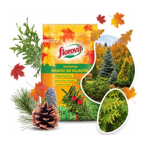 Nawóz Do Iglaków Jesienny Mineralny Granulat 5kg Florovit