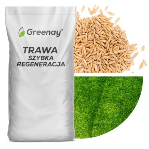 Trawa Regeneracyjna Greenay 15kg