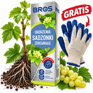 Ukorzeniacz Sadzonki Zdrewniałe 50g z Rękawicami BROS
