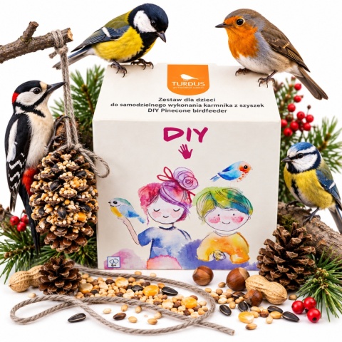 Zestaw DIY dla Dzieci do Zrobienia Karmnika z Szyszek dla Ptaków 600 g Turdus