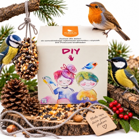Zestaw DIY dla Dzieci do Zrobienia Karmnika z Szyszek dla Ptaków 600 g Turdus
