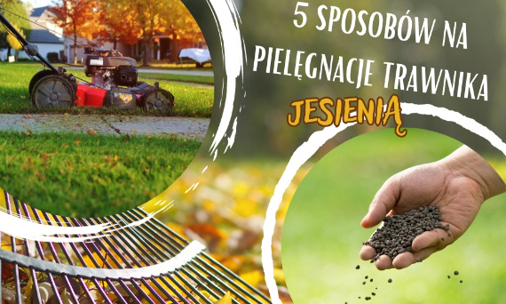 5 sposobów na pielęgnację trawnika jesienią