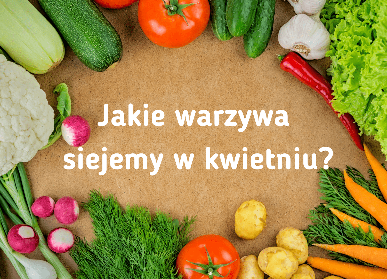 Jakie warzywa siejemy w kwietniu?