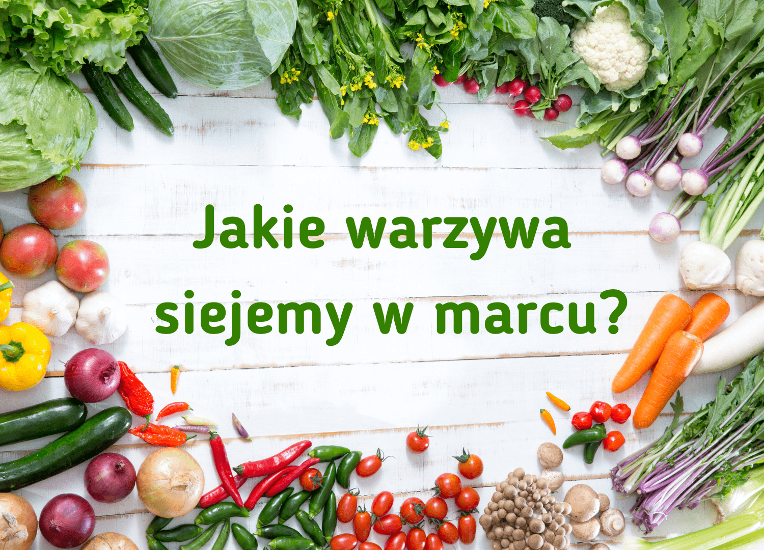 Jakie warzywa siejemy w marcu?