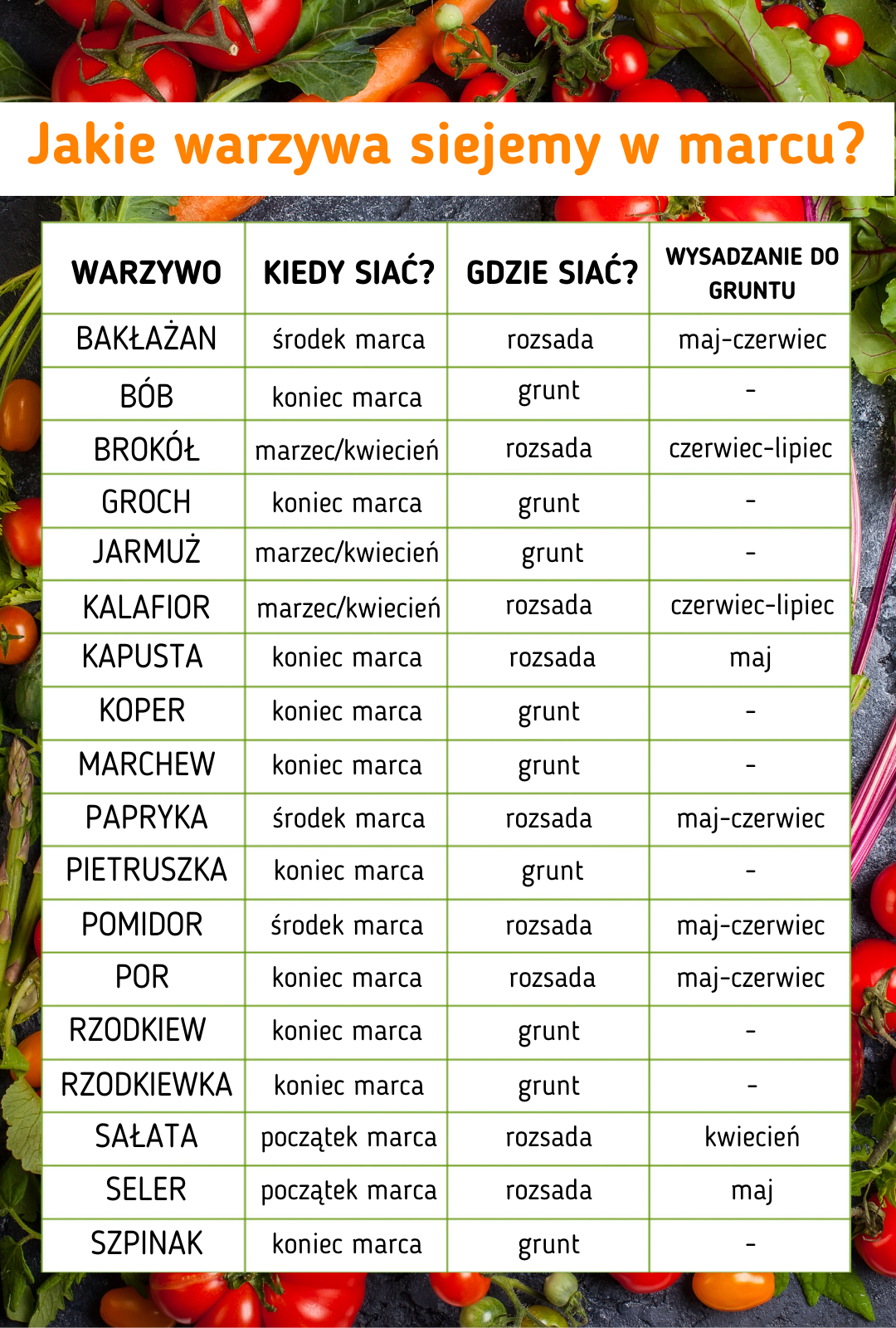 Lista warzyw jakie siejemy w marcu