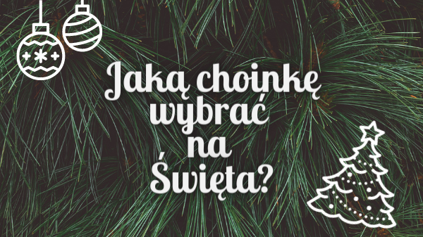 Jaką choinkę wybrać na Święta?