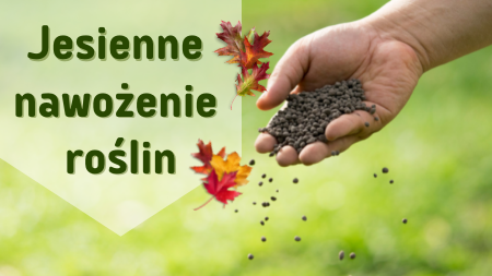 Jesienne nawożenie roślin