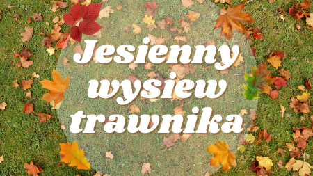 Jesienny wysiew trawnika