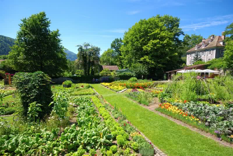 Ogród a zdrowie