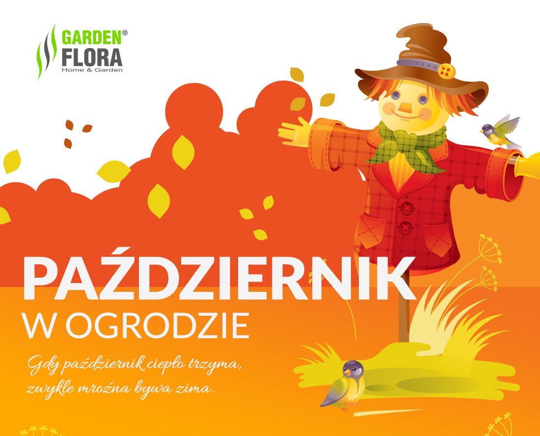 Październik w ogrodzie! - infografika