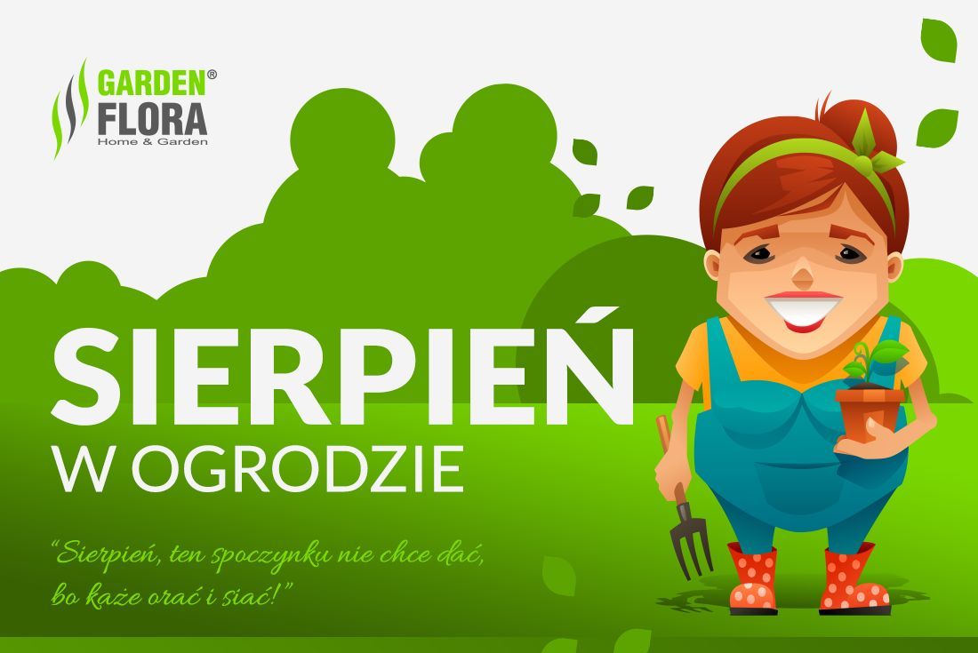 Sierpień w ogrodzie! - infografika