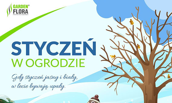 Styczeń w ogrodzie! - infografika