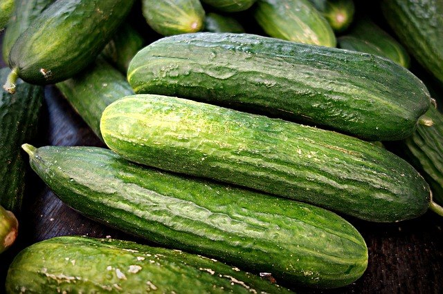 Ogórek i inne gatunki warzyw