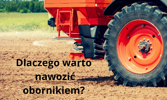 Dlaczego warto nawozić obornikiem?