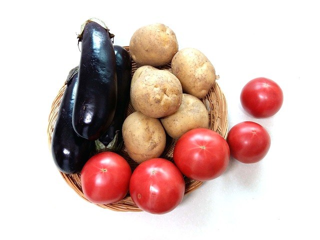 Choroby - ziemniak i pomidor
