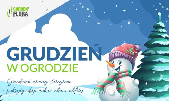 Grudzień w ogrodzie! - infografika