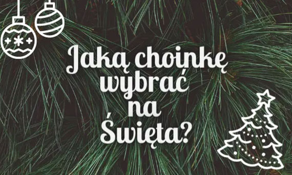 Jaką choinkę wybrać na Święta?