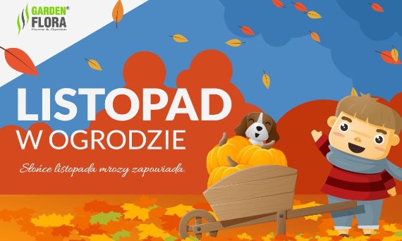 Listopad w ogrodzie! - infografika