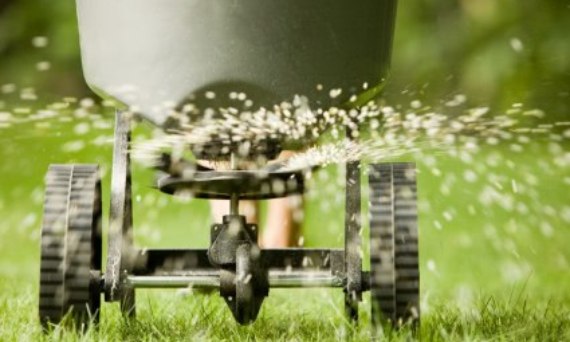 Nawożenie trawnika - czyli co i jak aby nie przedobrzyć i nie zaszkodzić