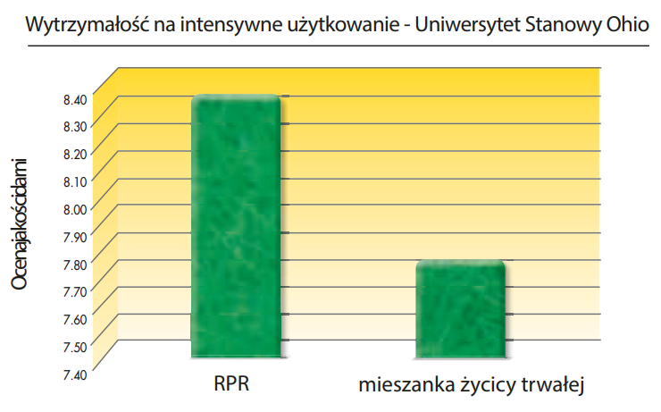 Barenbrug intensywne uzytkowanie