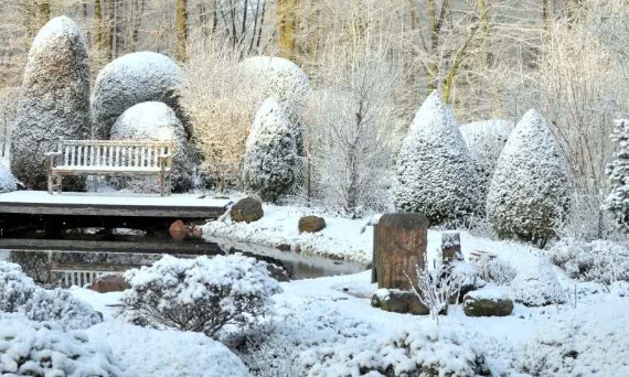 Ogród zimową porą