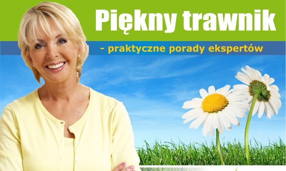 PIĘKNY TRAWNIK - praktyczne porady ekspertów
