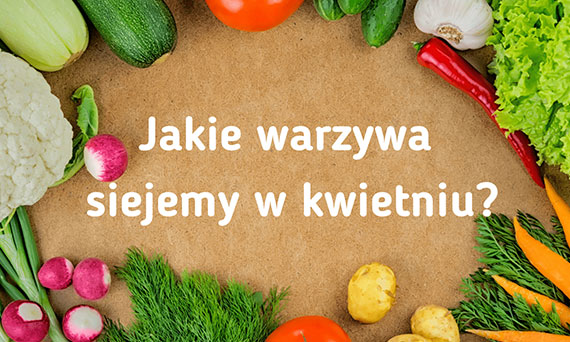 Jakie warzywa siejemy w kwietniu?