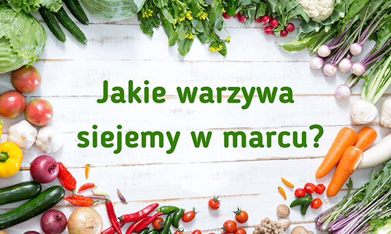 Jakie warzywa siejemy w marcu?