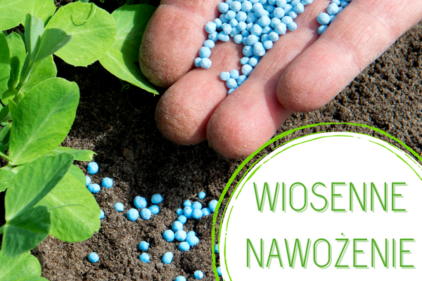 Wiosenne nawożenie - jaki nawóz na wiosnę wybrać?