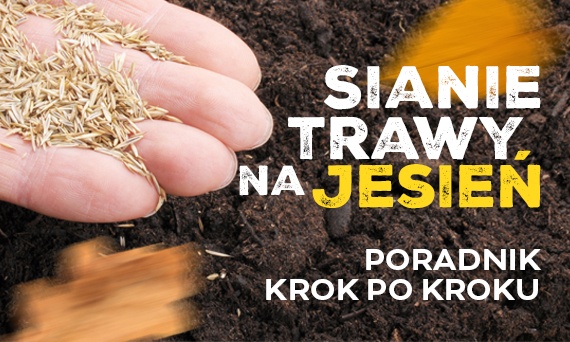 Sianie trawy na jesień. Poradnik krok po kroku