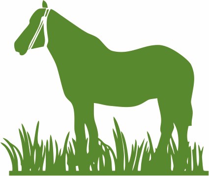 Trawa dla koni