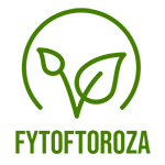 Fytoftoroza
