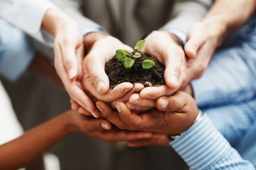 iStock_000012181084Small.jpg
