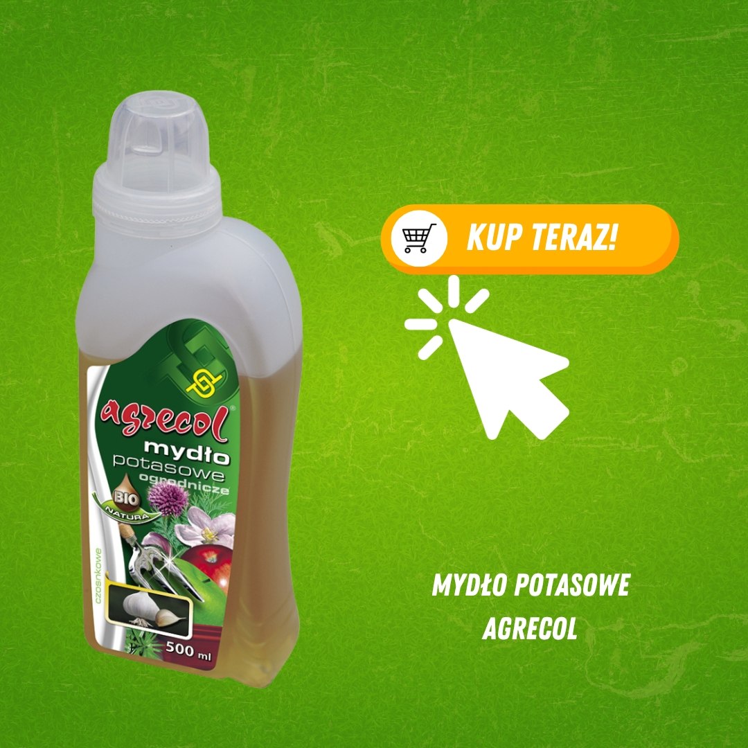 Mydło potasowe 500 ml