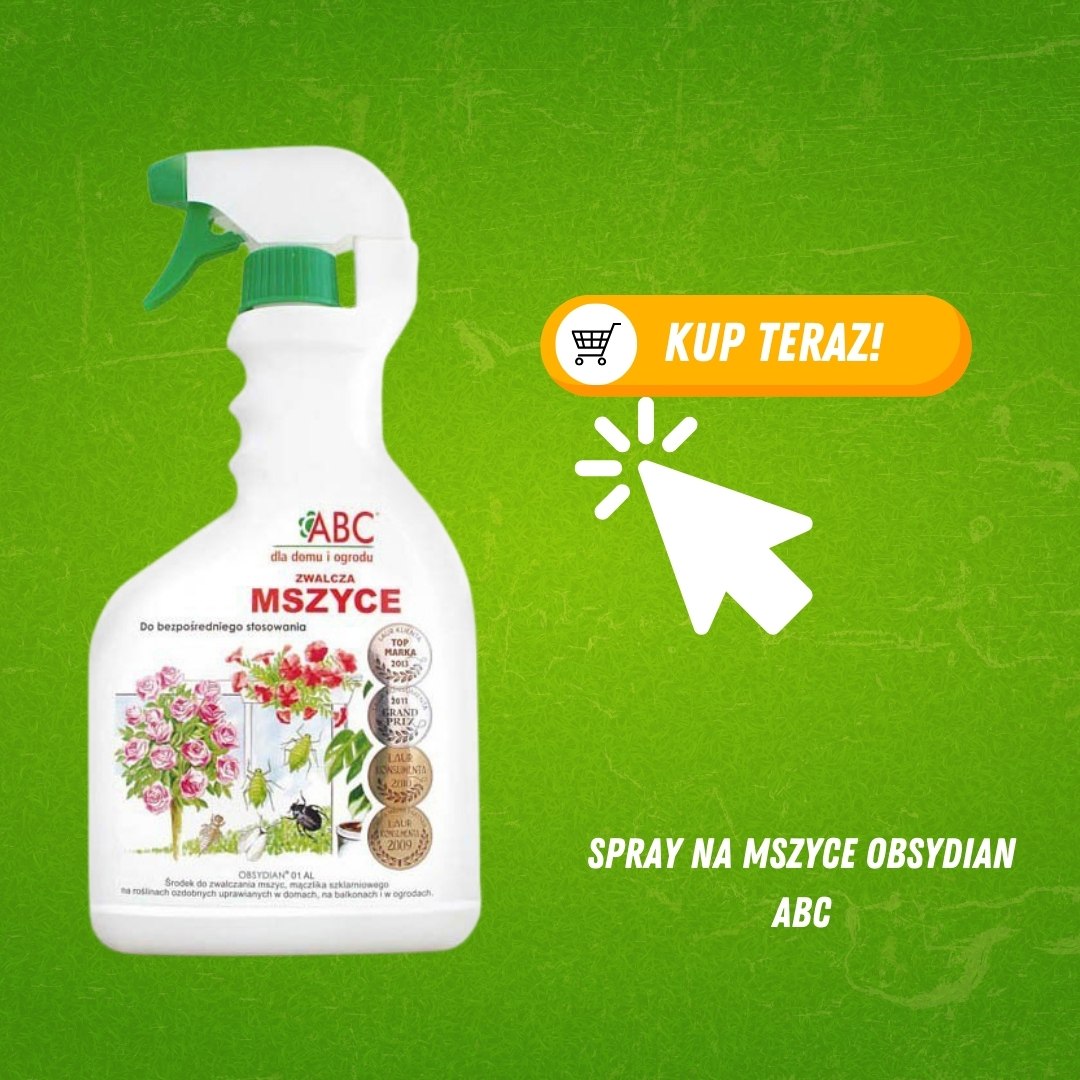 Spray na Mszyce 600ml Obsydian