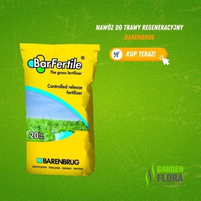 Nawóz Regeneracyjny Barenbrug