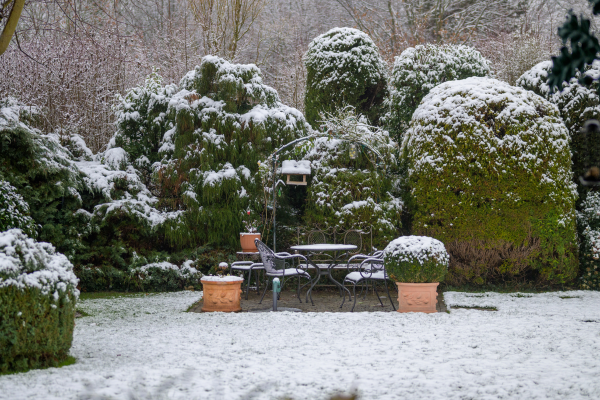 ogr&oacute;d w zimie